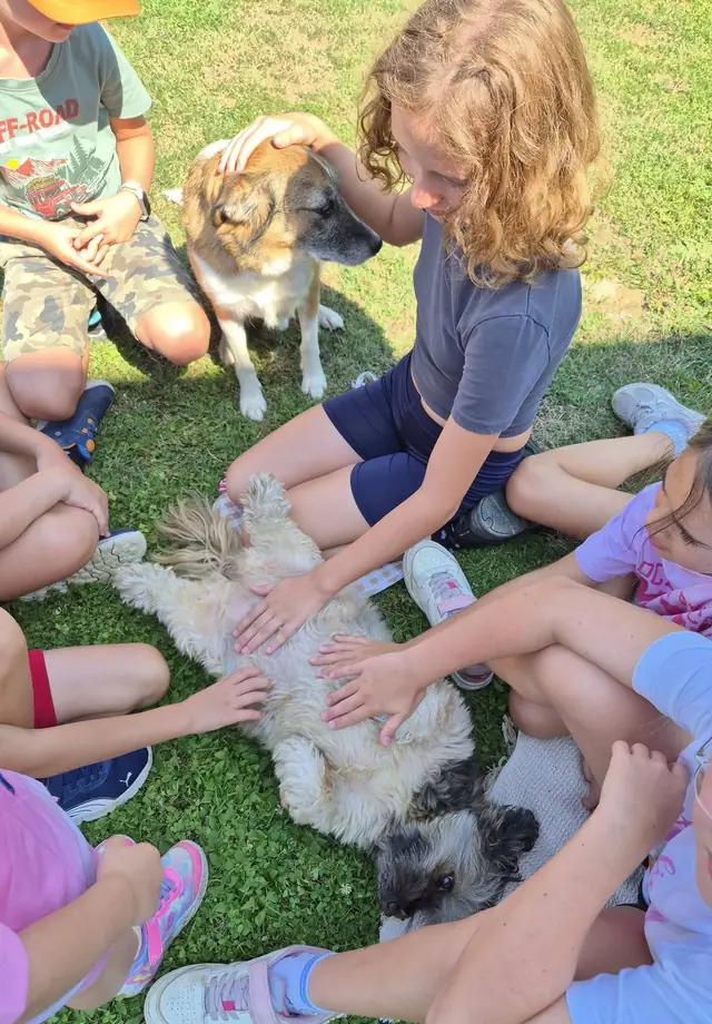 Otroci sedijo na travi in božajo kužka